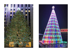 The Rockefeller Tree side by side with Genesee’s iconic Keg Tree,  was lit on Friday, Dec. 2.