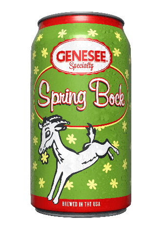 A can of Genesee Specialty Spring Bock